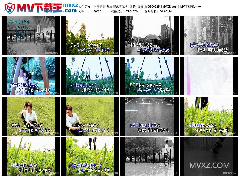 冰雨哥哥-还是那么喜欢你_国语_流行_MD300925